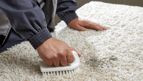 Professional Rug Cleaning Wonga Park